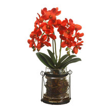 Office Flowers