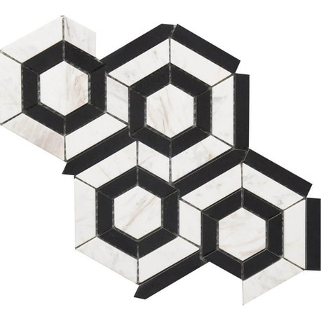 Black & White Hexagon  9”x12” Marble Mosaic