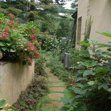 Secluded Garden with Koi Pond