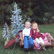 Melanie Cavenaugh's photo