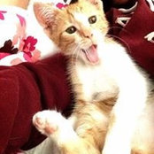 Foto de Cubby Kang
