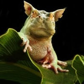 Olivera Popov's photo