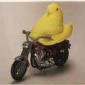 Patrick Lavelle's photo