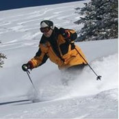 David Cominsky's photo