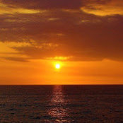 Lisa Ransom's photo
