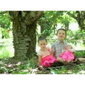 Sierra Sorensen's photo