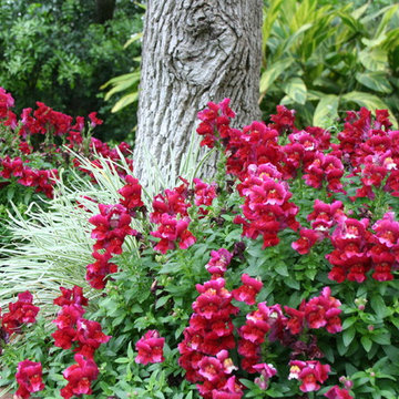 Traditional garden in Northwest Hills