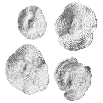 Abstract Antiqued White Coral Sea Shell Sculpture Disc Wall Art, 4-Piece