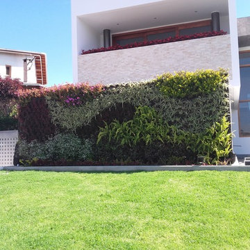 JARDINES VERTICALES
