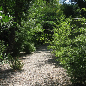 Un jardin original à Toulon