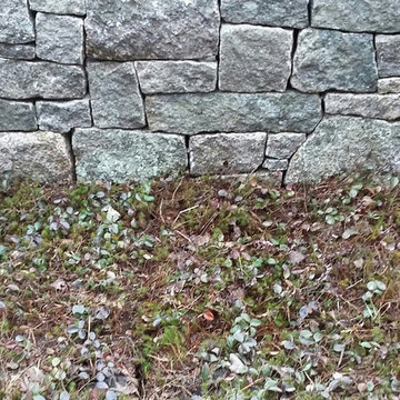 Stone Wall