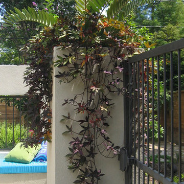 Ingold Residence
