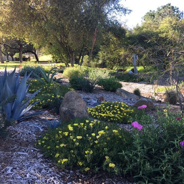 Watershed Approach Project