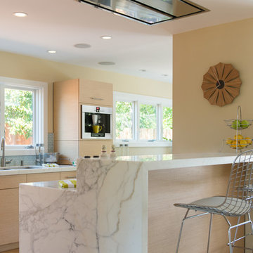Contemporary Open Kitchen