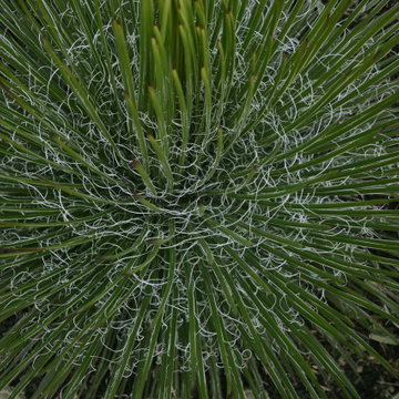Bay view Garden