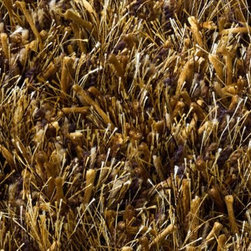 Ronaldo Gold Contemporary & Modern Rug by Linie Design - Rugs