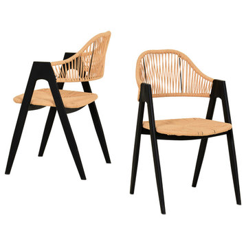 Modrest Gayle Modern Rattan Dining Chair Set of 2