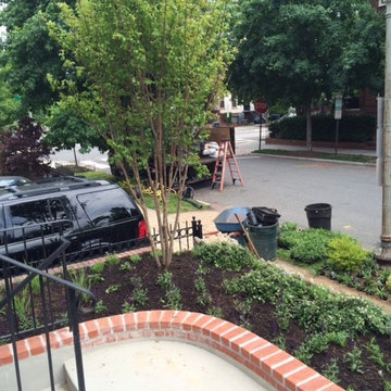 Capitol Hill Front Yard Renovation