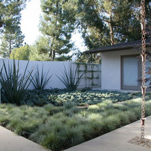 1355 Backyard