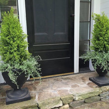 Patio Ideas