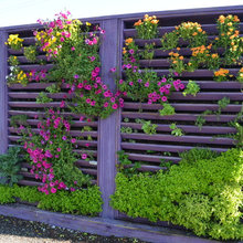 Garden/Landscape