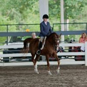 Sharon Carroll's photo