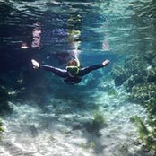 Cheryl Connors's photo