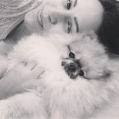 Heine Rosa's photo