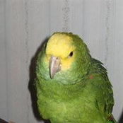Beth DeMichele's photo