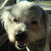 Kim Wollett's photo
