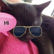 Judith Pooley's photo
