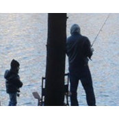 Mark Yosowitz's photo