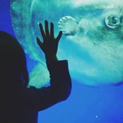 Tomoko Yasuda's photo