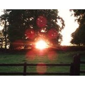 Michelle O'Neill's photo