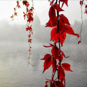 Chia-Ling Kawakami's photo