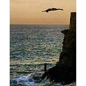 Joaquin Tapia's photo