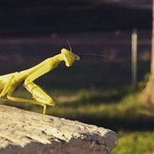 Foto de Jason Wright