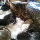 Lisa Winegar's photo