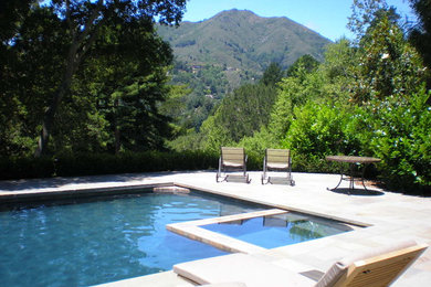 Pool - contemporary pool idea in San Francisco