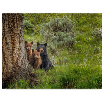 Galloimages Online 'Sow And Cubs Family' Canvas Art, 32"x24"