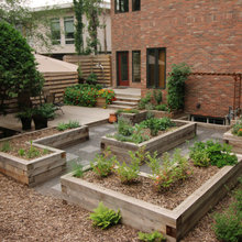 Backyard Ideas