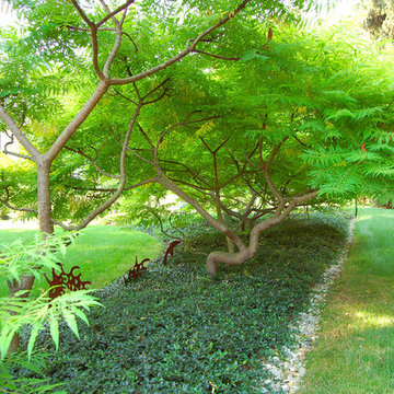 Lancaster planting