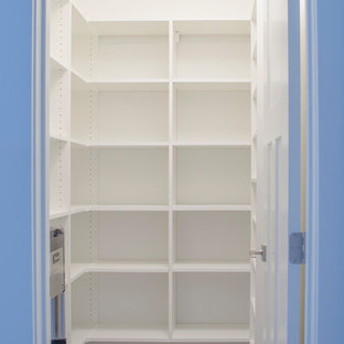 Неиссякаемый источник вдохновения для домашнего уюта: большая кухня в стиле модернизм с кладовкой, открытыми фасадами, белыми фасадами, техникой из нержавеющей стали, ковровым покрытием и коричневым полом