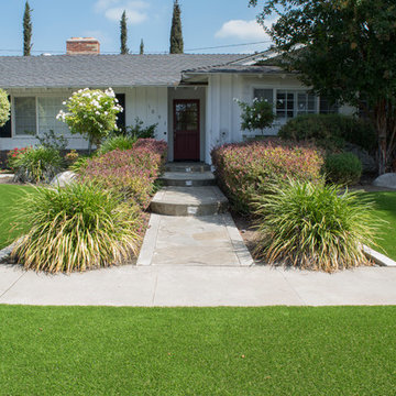 Front Yard Do Over