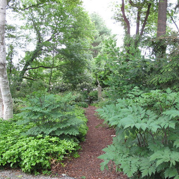 Traditional Garden Revisited