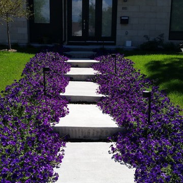 Hale Neighborhood