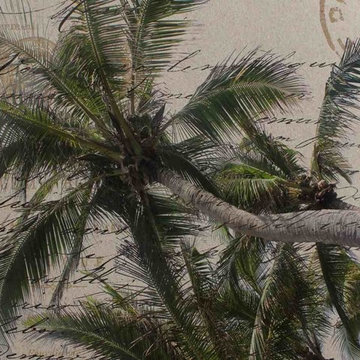 Succulents and Tropical Canvas Art by Irena Orlov