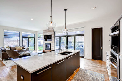 Kitchen - contemporary kitchen idea in Denver