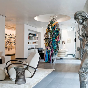 Art Collector's Home