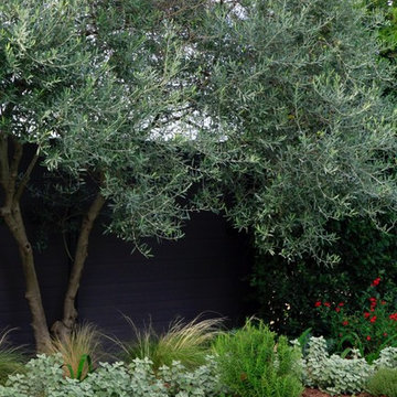 jardin exotique